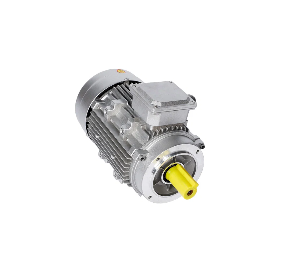 Ys Ms Ye3 Three-Phase Asynchronous Motor Water Pump Hydraulic Motor