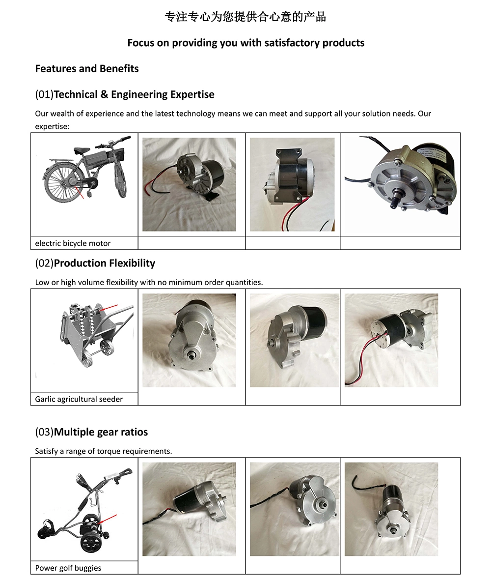 24V 500W Chain Driven Electric Motor on Electric Chain Saw